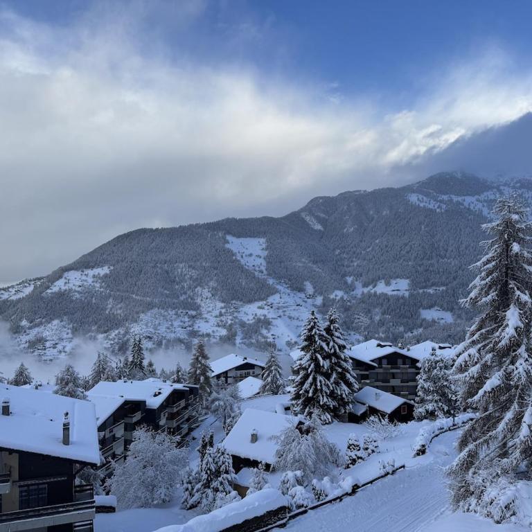 2 bed ski in out apartment La Tzoumaz Verbier - Apartment mit 1 Schlafzimmer - 2