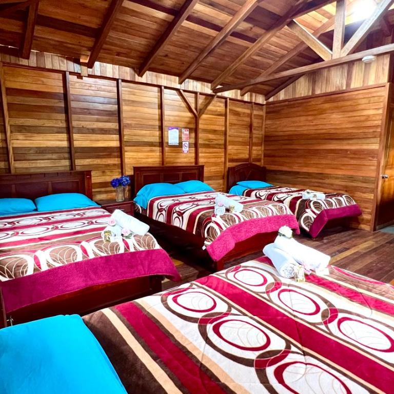 Paraiso Orquideario - Habitación Familiar adaptada para personas de movilidad reducida - 2