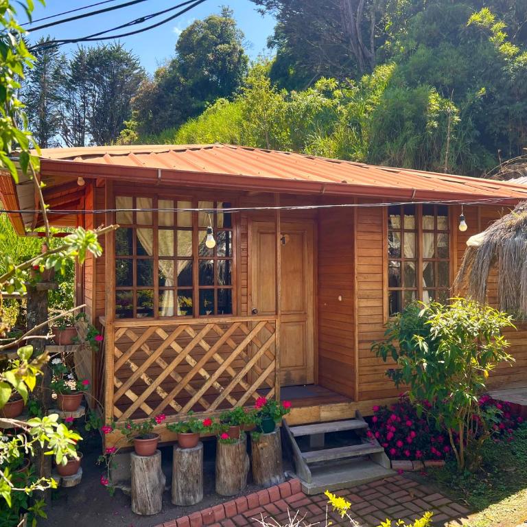 Paraiso Orquideario - Habitación Doble con bañera de hidromasaje - 6