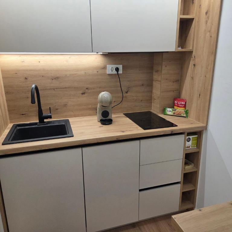 Sarajevo City Center Apartment near Presidency - Apartman sa 1 Spavaćom Sobom - 11