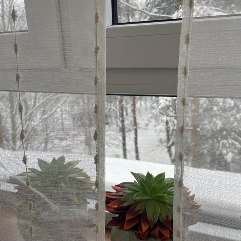 Apartman Lavina Divčibare - Apartman sa 1 Spavaćom Sobom - 15