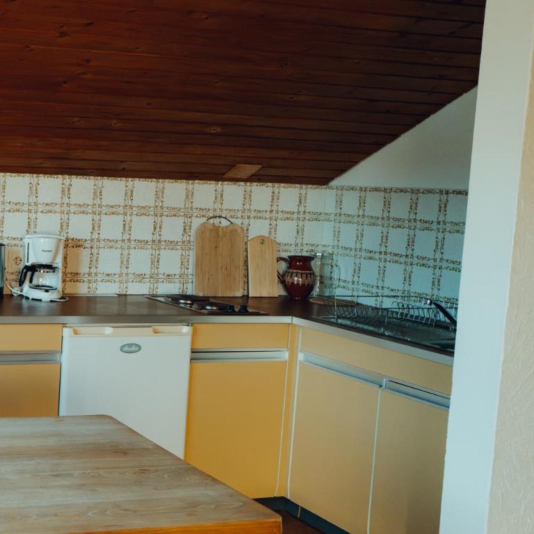 Haus am Weiher - Studio-Apartment - 2
