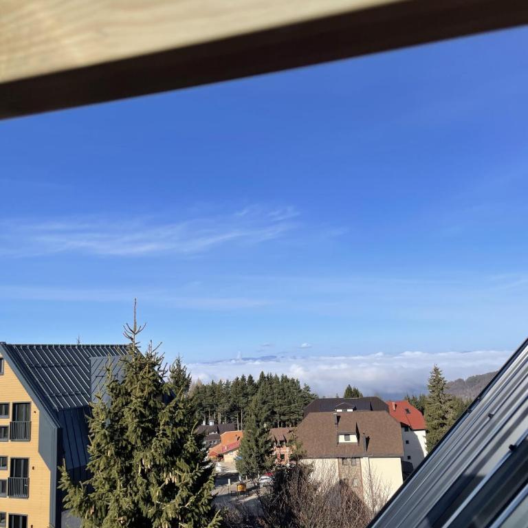 Montana Guesthouse Kopaonik - Superior Apartment - 81