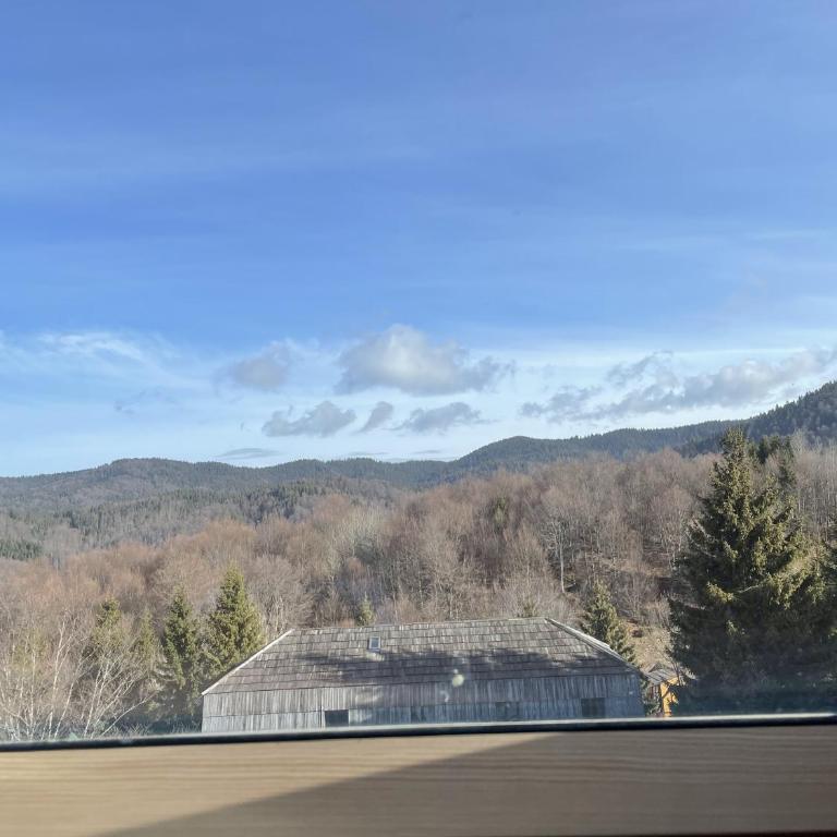 Montana Guesthouse Kopaonik - Superior Apartment - 91