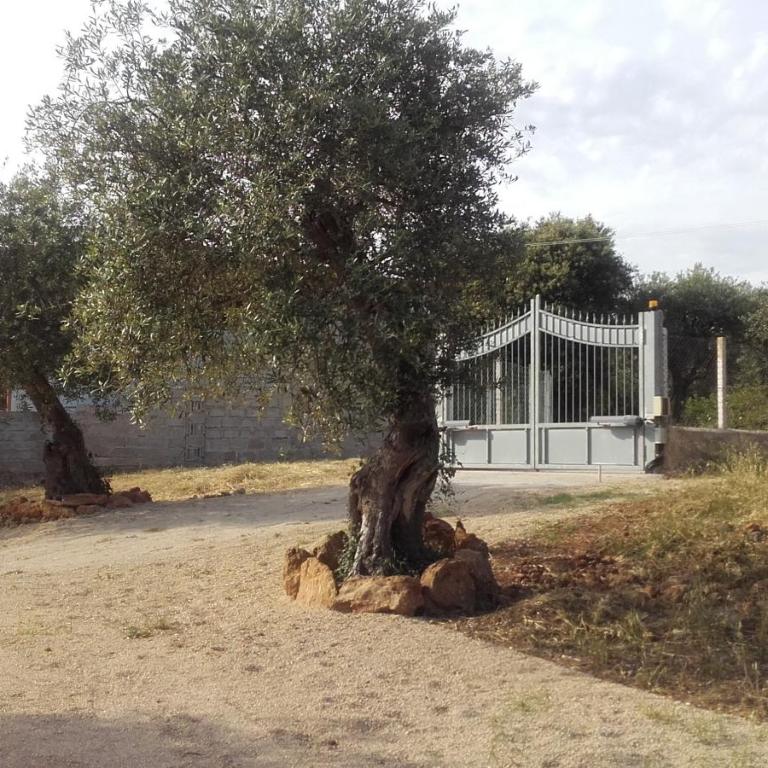 Alghero Guest House, Oasi tra gli Ulivi con Piscina e Fresche Suites in Seminterrato - Appartamento con 2 Camere da Letto - 27