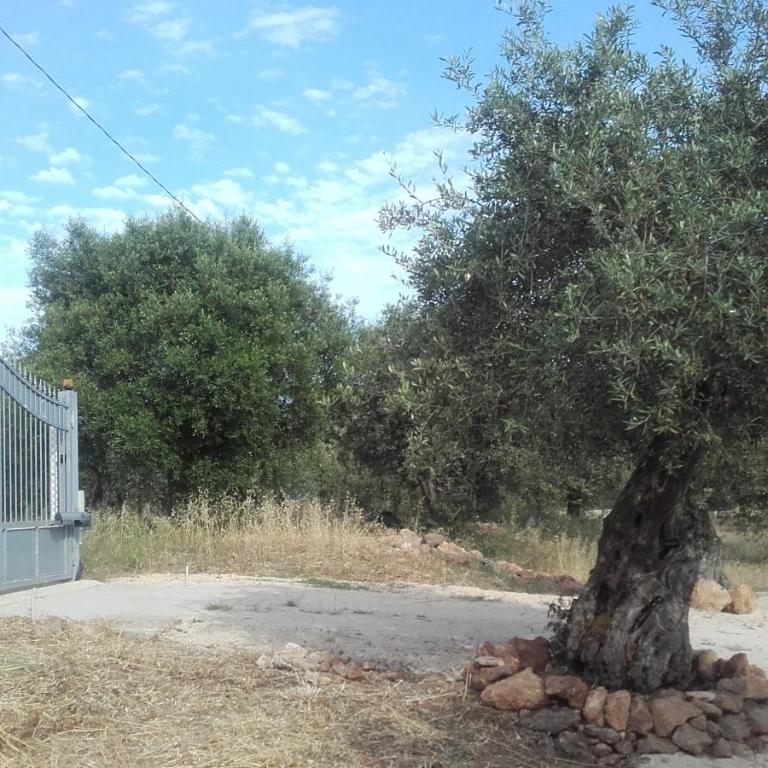 Alghero Guest House, Oasi tra gli Ulivi con Piscina e Fresche Suites in Seminterrato - Appartamento con 2 Camere da Letto - 30
