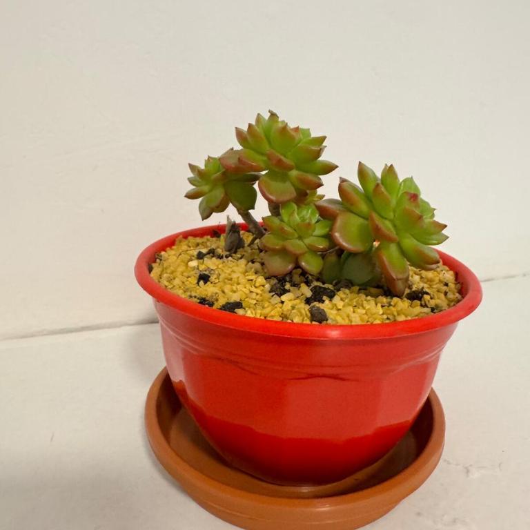 Tribunales Hub - Apartamento de 1 dormitorio - 15