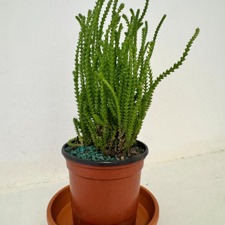 Tribunales Hub - Apartamento de 1 dormitorio - 17