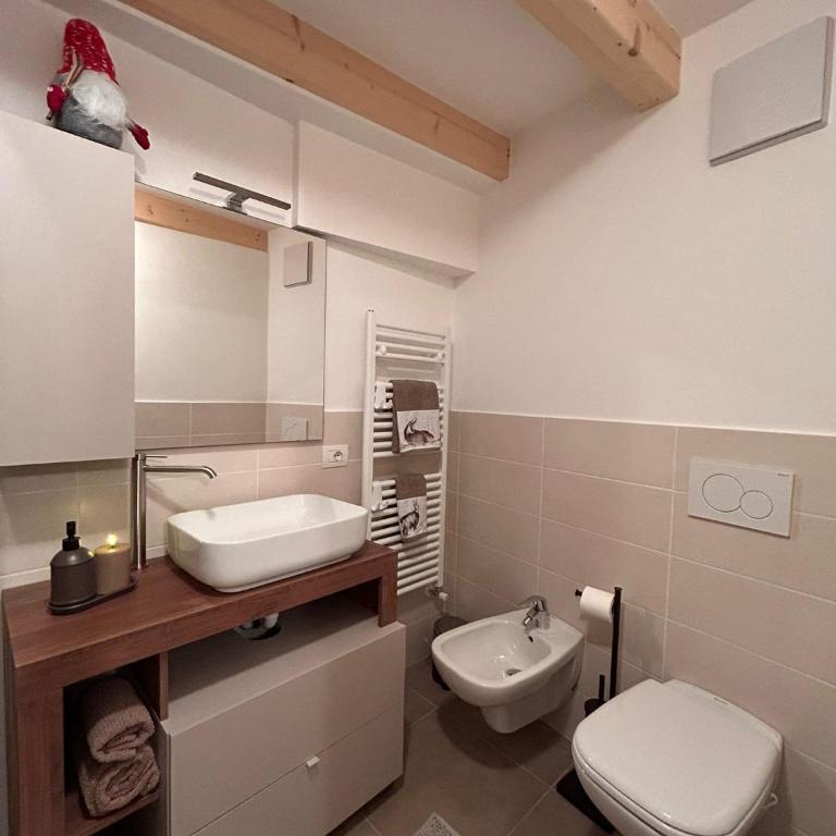 Alpen Lodge Predazzo - Appartamento con 1 Camera da Letto - 7