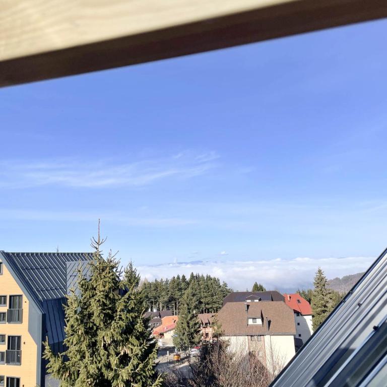 Montana Guesthouse Kopaonik - Villa - 31