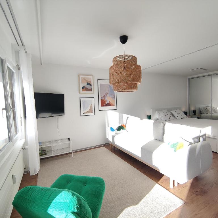 Big studio, just renovated, great views, with free parking - Apartamento de 1 dormitorio - 4