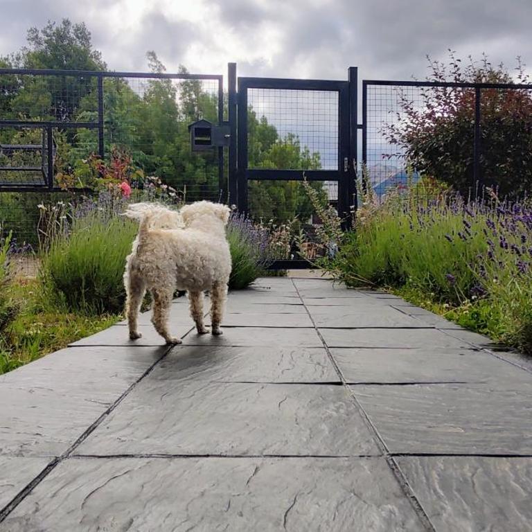 Great Shelter cerca del Cerro Catedral - Chalet de 3 dormitorios - 50