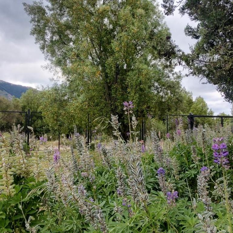 Great Shelter cerca del Cerro Catedral - Chalet de 3 dormitorios - 48