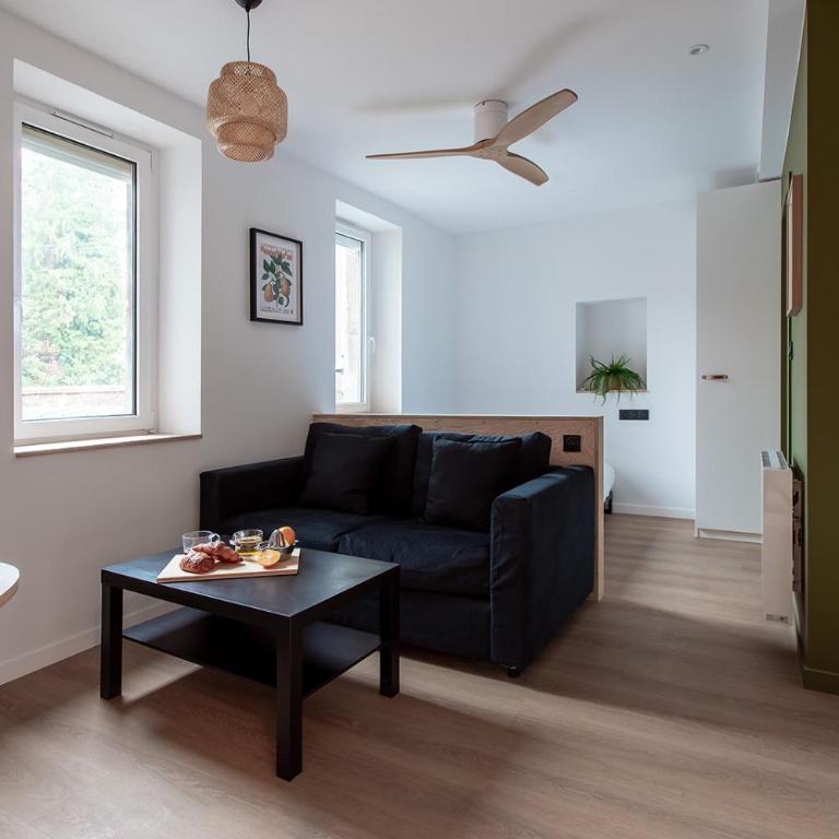 Résidence Mariotte - Le vert Kaki - Appartement Indépendant - Appartamento con 1 Camera da Letto - 8