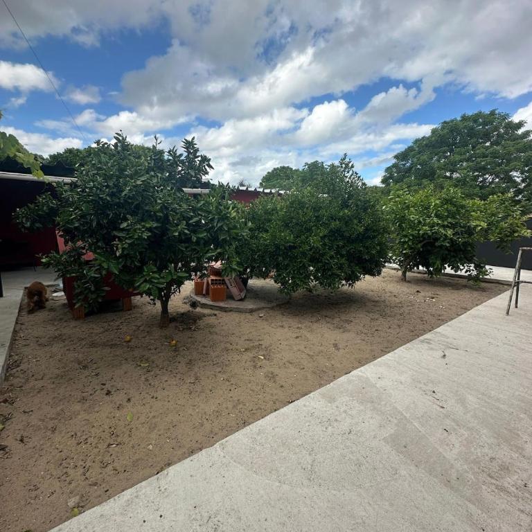 Lo de Nancy - Chalet - 19