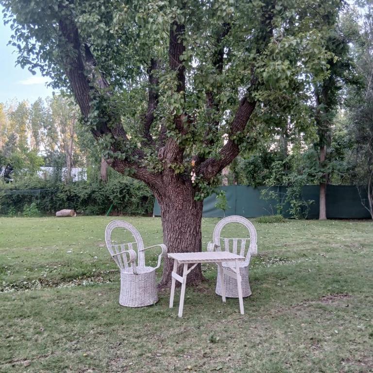 Vieja Cepa Departamento - One-Bedroom Apartment - 11