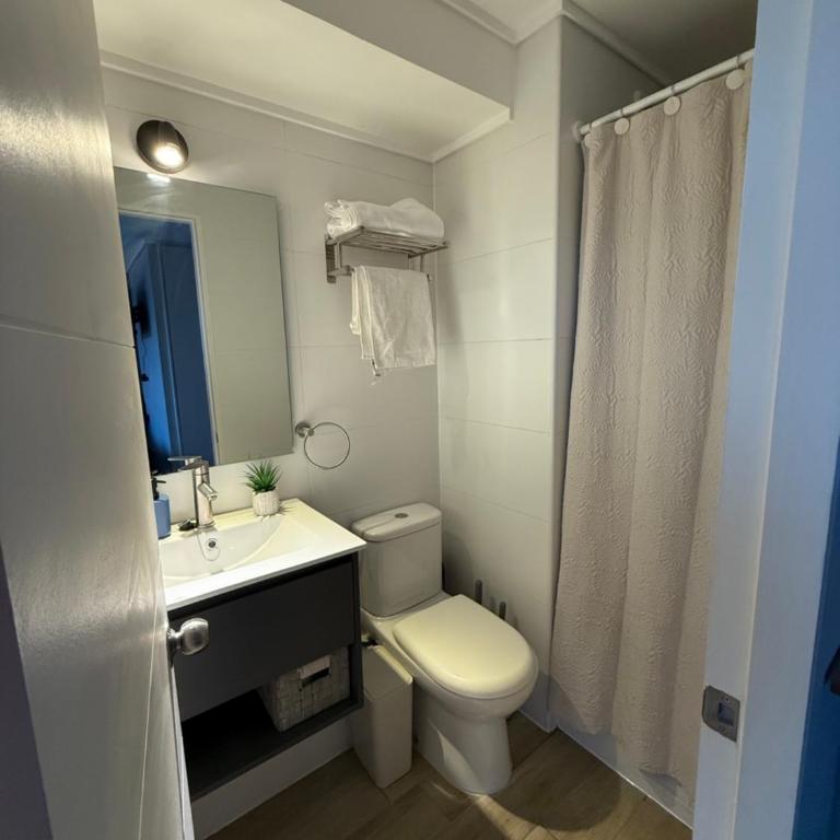 Apartamento Moderno con Vista al Parque OHiggins - One-Bedroom Apartment - 2
