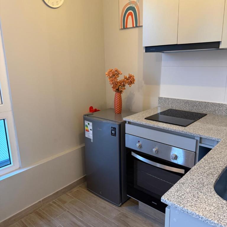 Apartamento Moderno con Vista al Parque OHiggins - One-Bedroom Apartment - 8