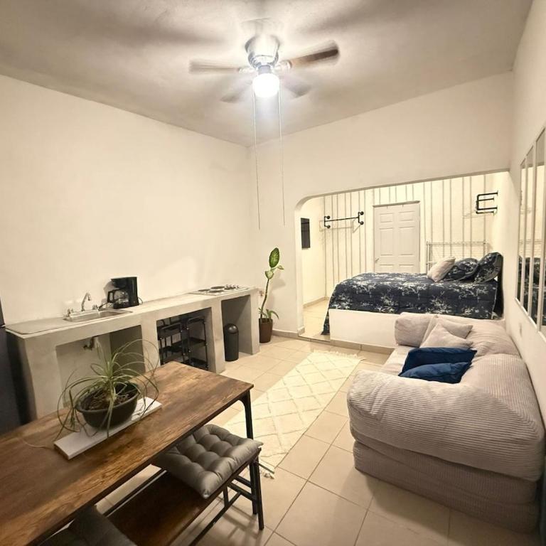 Departamento privado con entrada independiente - Apartamento de 1 dormitorio - 1