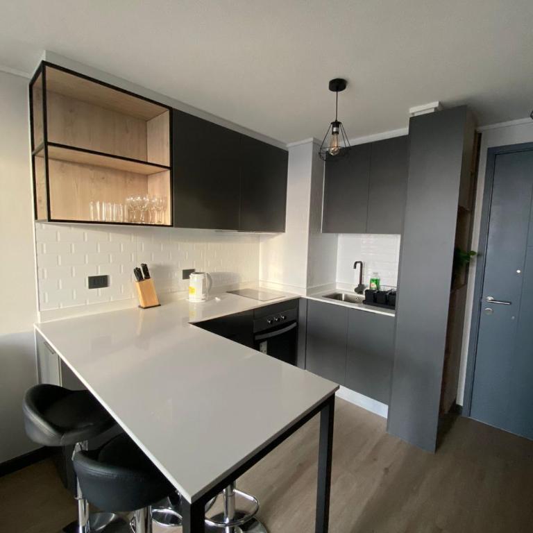 Arriendo departamento nuevo - One-Bedroom Apartment - 6