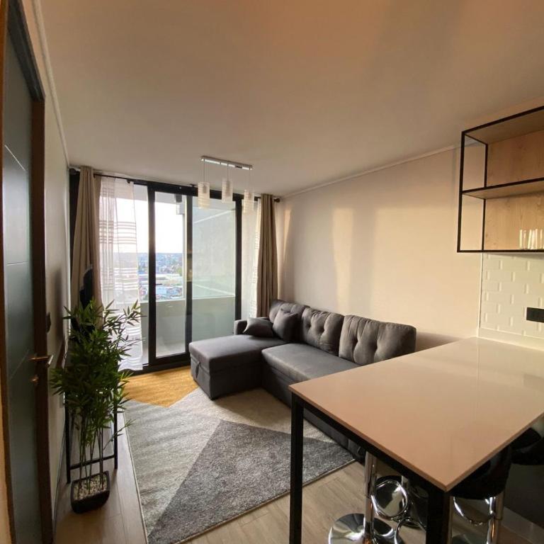 Arriendo departamento nuevo - One-Bedroom Apartment - 2