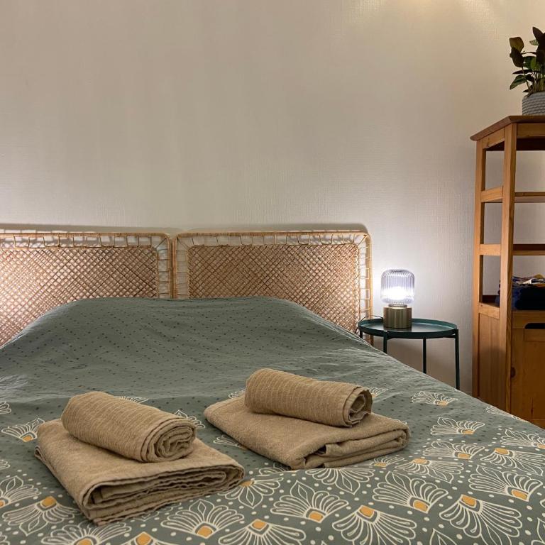 Charmant studio centre-ville Orléans - Appartamento con 1 Camera da Letto - 1