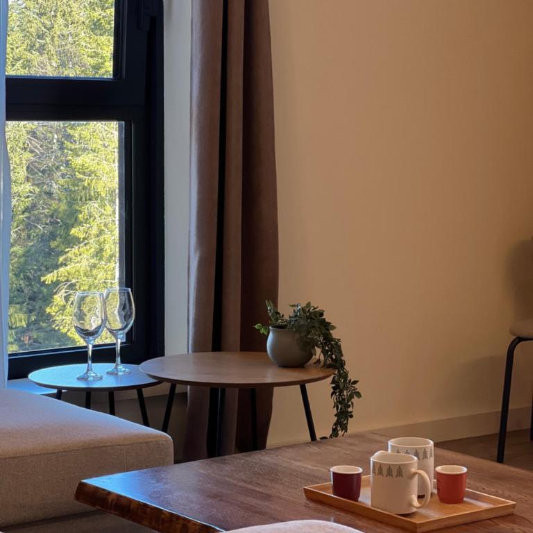 Aria Skyhill Jahorina- Poljice- with free garage - Two-Bedroom Apartment - 8