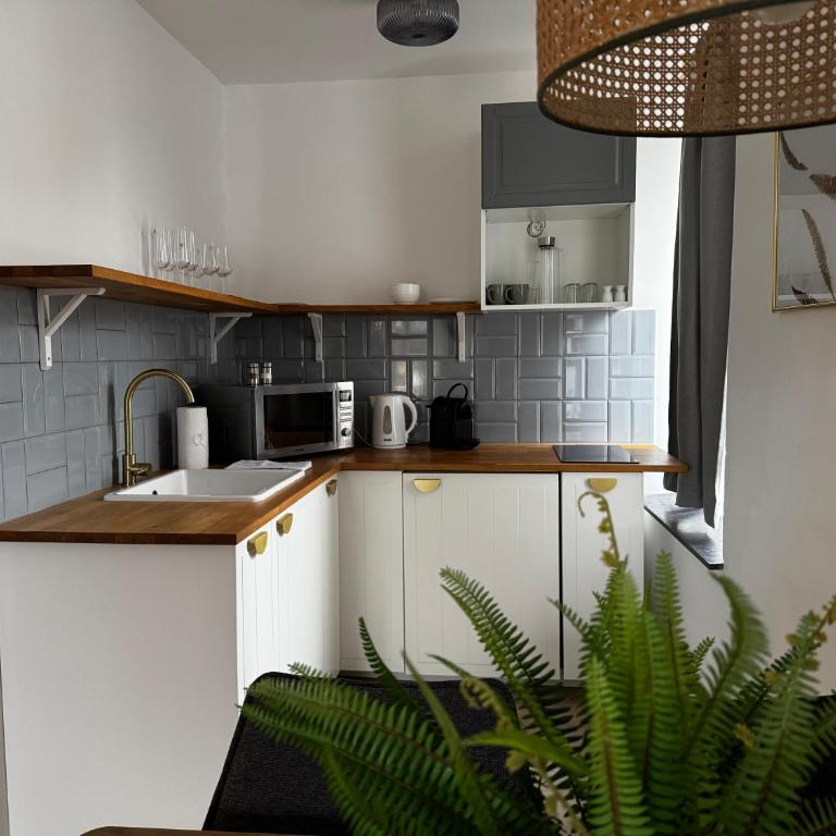 Hirschenhof Apartments - Deluxe Apartment mit 1 Schlafzimmer - 1