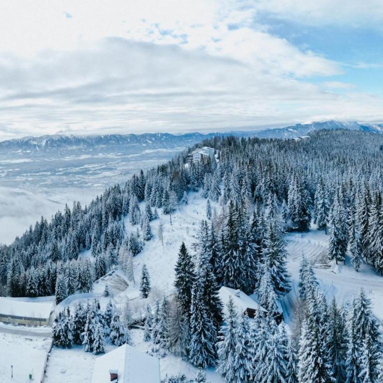 Luxescape-Traumaussicht-Wandergebiet-Paragleiten-Mountainbiken-Erlebnis CARD - Apartment mit 1 Schlafzimmer und Aussicht - 23