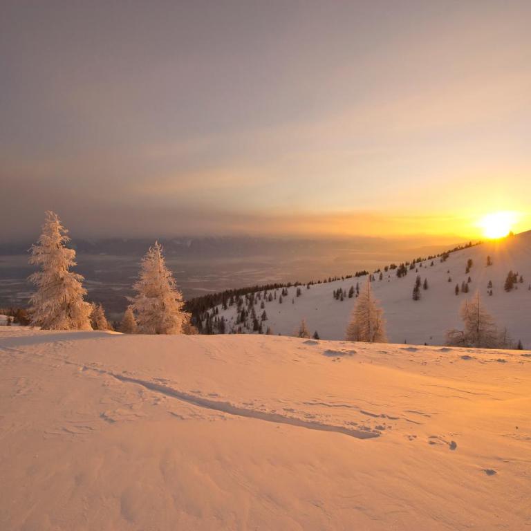 Luxescape-Traumaussicht-Wandergebiet-Paragleiten-Mountainbiken-Erlebnis CARD - Apartment mit 1 Schlafzimmer und Aussicht - 22