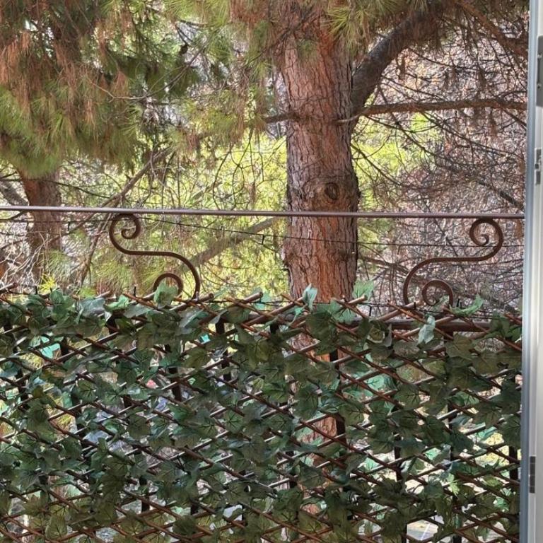 Verona Bed and Relax Apartment - Appartamento con Vista sul Parco - 29