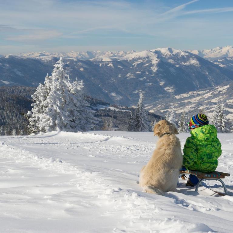 Luxescape-Traumaussicht-Wandergebiet-Paragleiten-Mountainbiken-Erlebnis CARD - Apartment mit 1 Schlafzimmer und Aussicht - 24