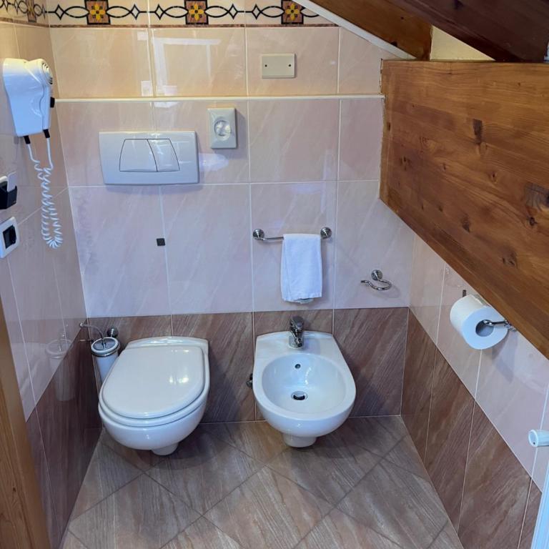 Park Hotel Aurora - Camera Singola con Bagno Privato Esterno - 1