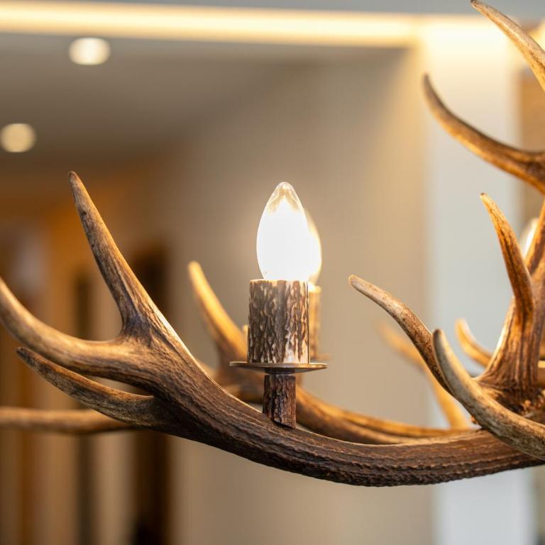 A&Y Signature Lodge St Moritz Pontresina Spa - Apartment mit 3 Schlafzimmern und Bergblick - 64