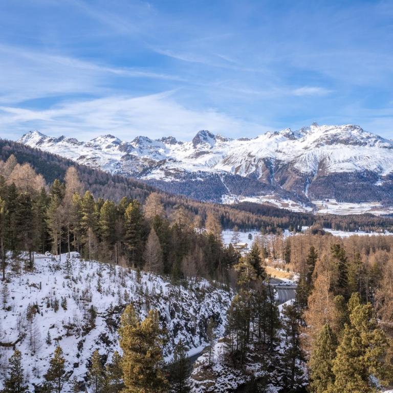 A&Y Signature Lodge St Moritz Pontresina Spa - Apartment mit 3 Schlafzimmern und Bergblick - 68