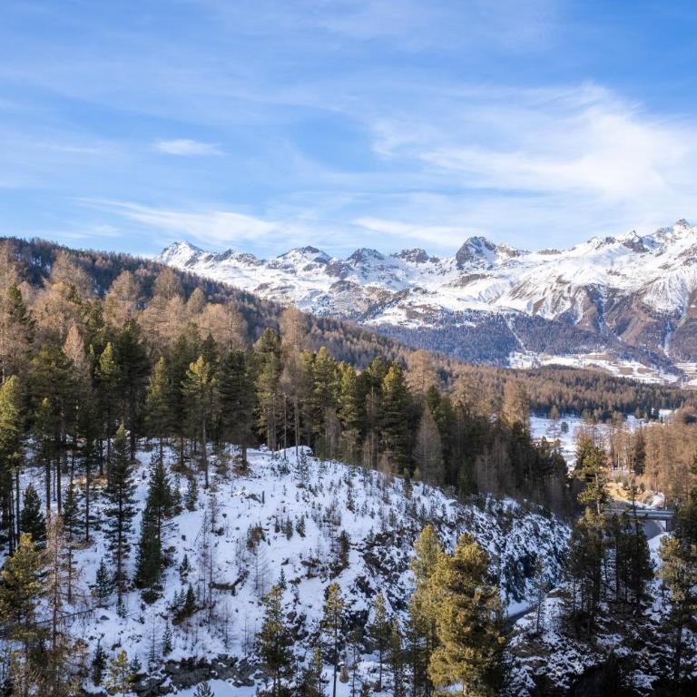 A&Y Signature Lodge St Moritz Pontresina Spa - Apartment mit 3 Schlafzimmern und Bergblick - 70