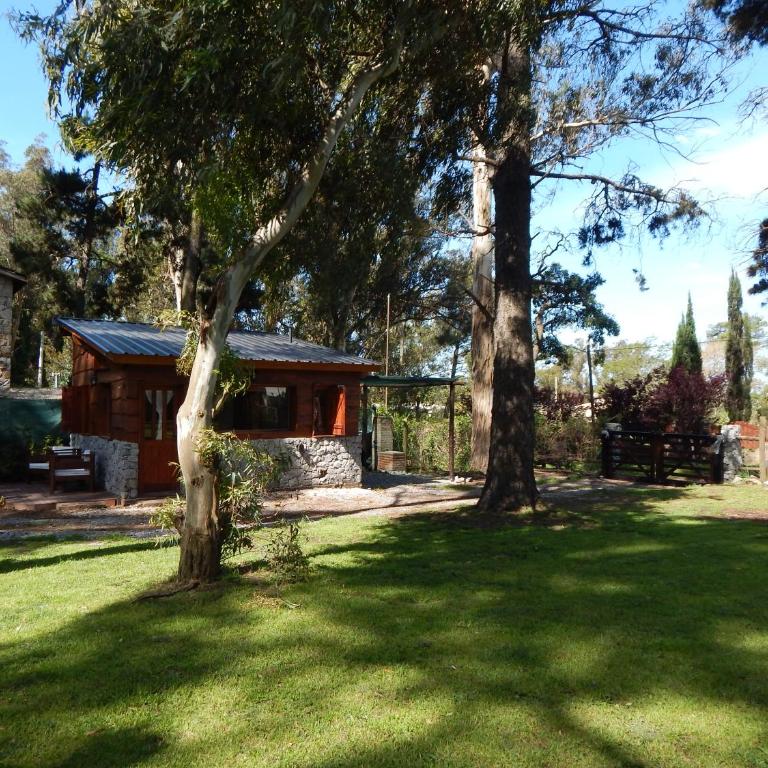 Cabañas Altos del Bosque - Apartamento Estudio - 4