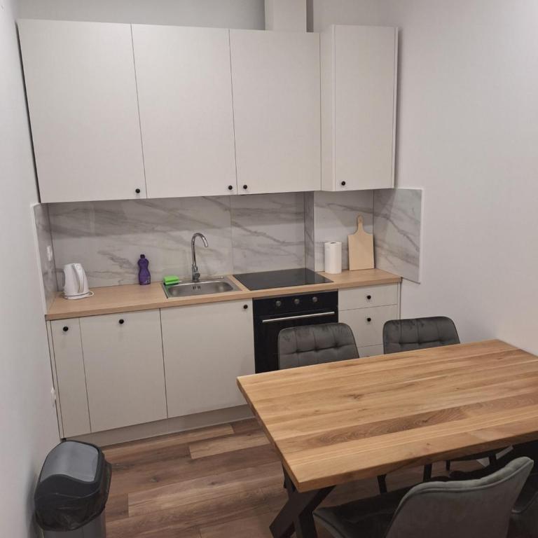 Apartments Luma - One-Bedroom Apartment - 12
