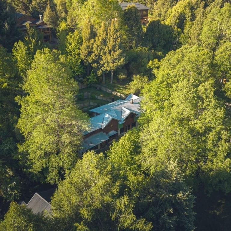 Cabaña rodeada de bosque nativo para 12 c parrilla - Bungalow - 2