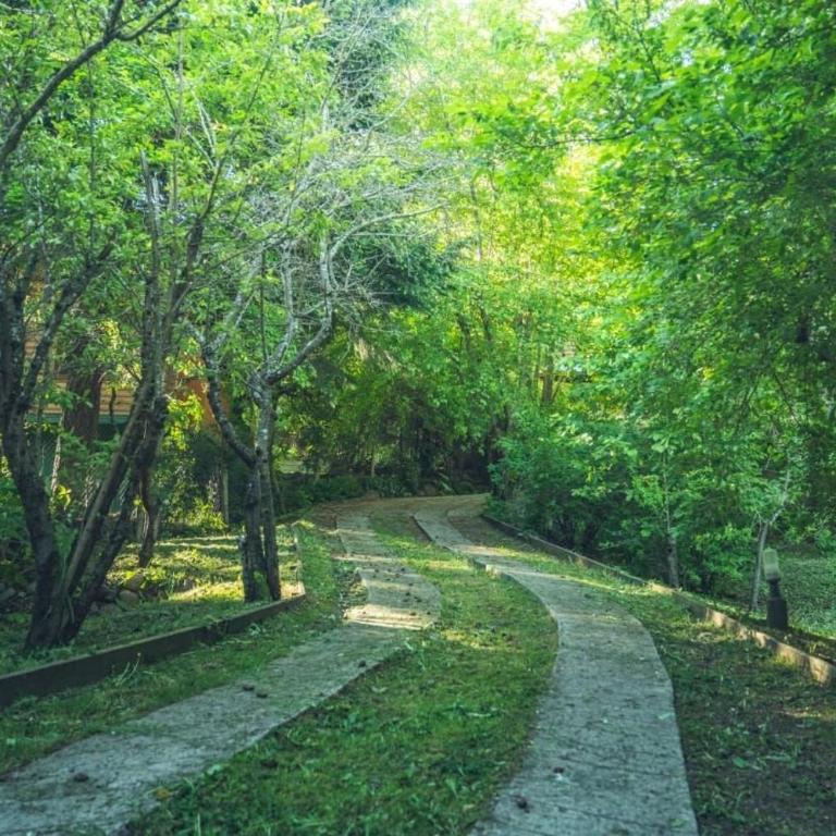 Cabaña rodeada de bosque nativo para 12 c parrilla - Bungalow - 3