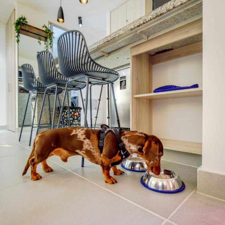 Aguita de coco - One-Bedroom Apartment - 17
