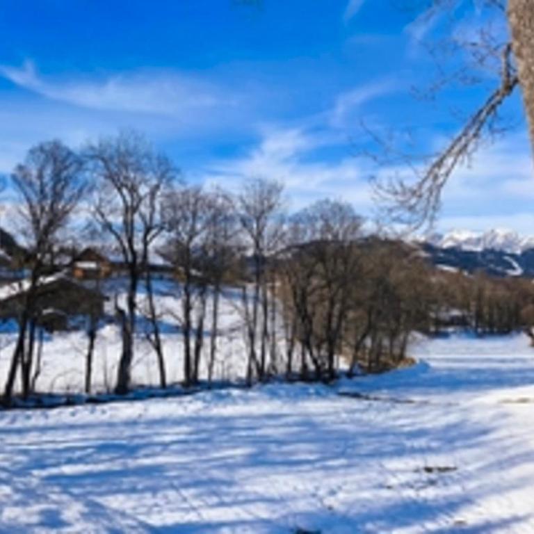 Stay in an ideal mountain chalet! - Appartamento - 16