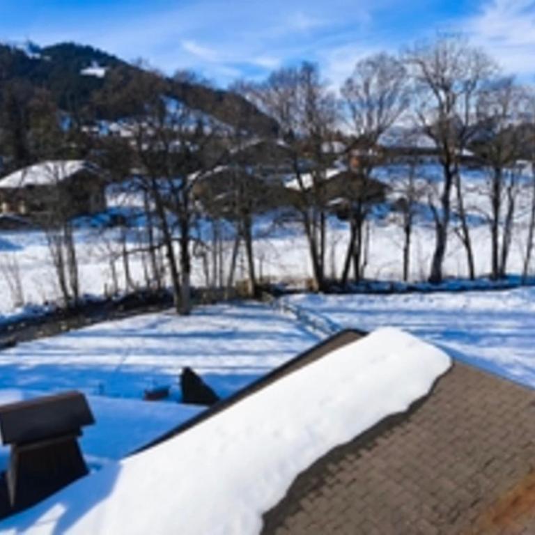 Stay in an ideal mountain chalet! - Appartamento - 31