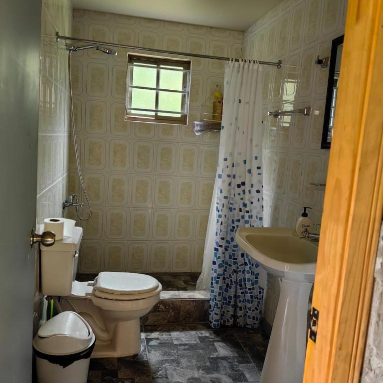 10 hectáreas de montaña con cabaña, senderos, saltos de agua y más - Three-Bedroom Chalet - 36