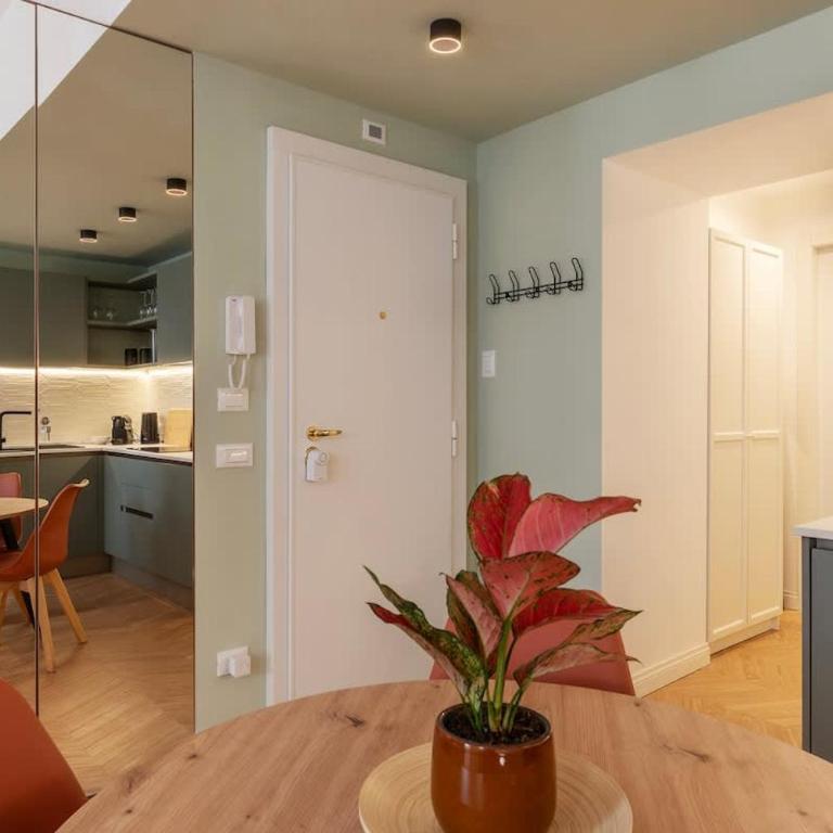Appartamento moderno e silenzioso a Trastevere - Appartamento - 11
