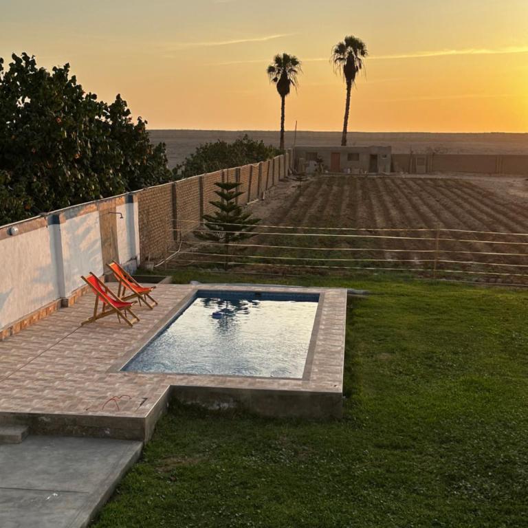 Casita de Campo y Relax con Piscina - One-Bedroom House - 11