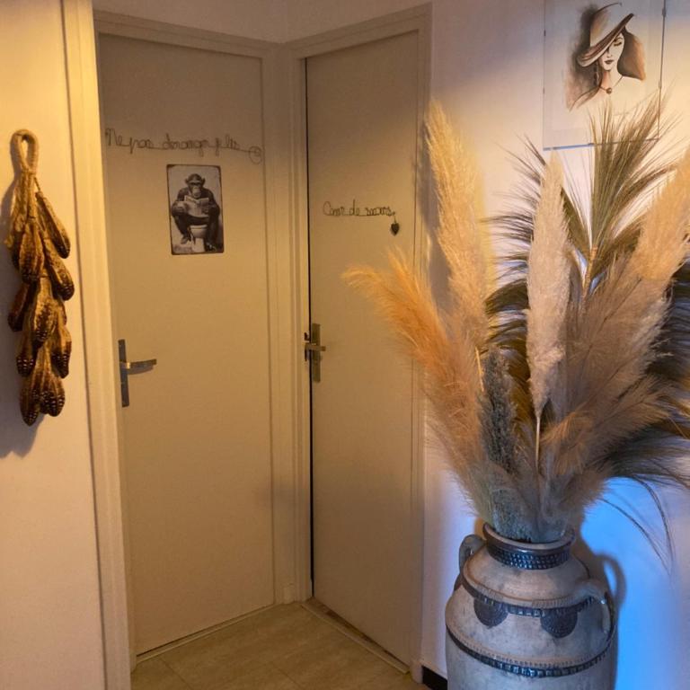 Les Palmiers Très beau T2 vue mer 2mn de la plage150m - Apartment mit 1 Schlafzimmer - 11