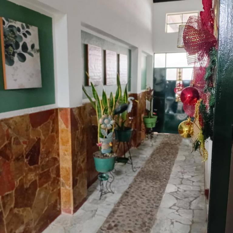 Apartamento Eucalyptus - Apartment - 6