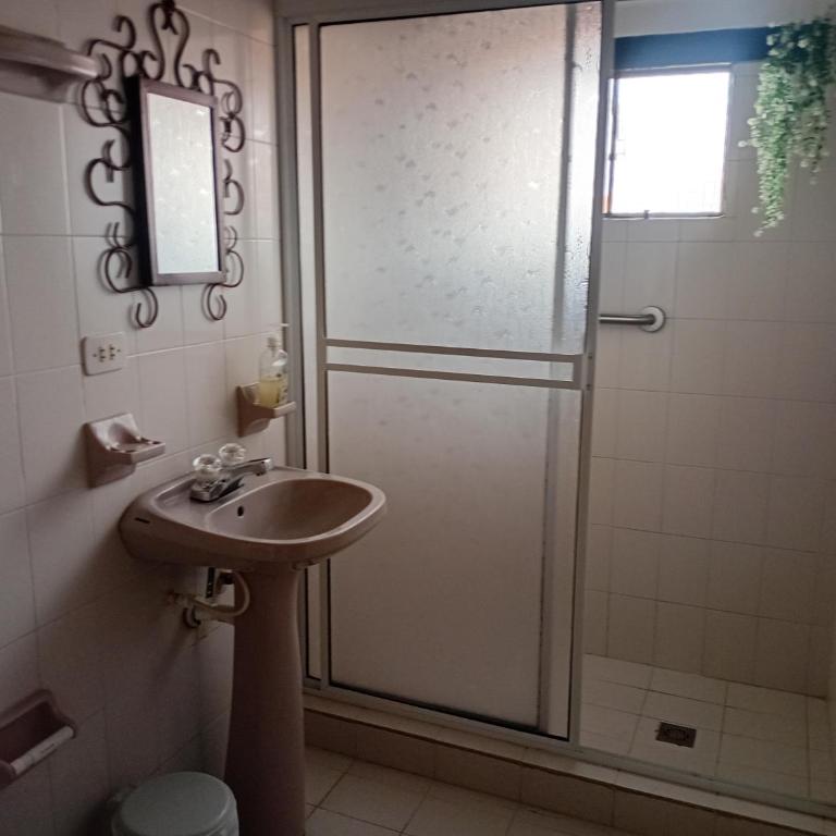 Apartamento Eucalyptus - Apartment - 5