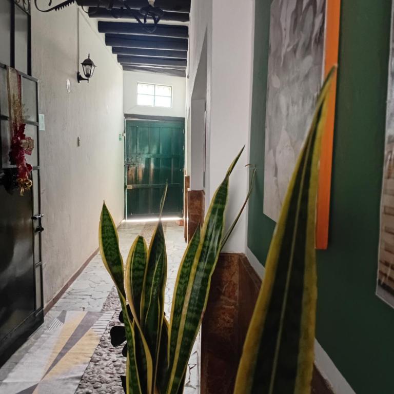 Apartamento Eucalyptus - Apartment - 11